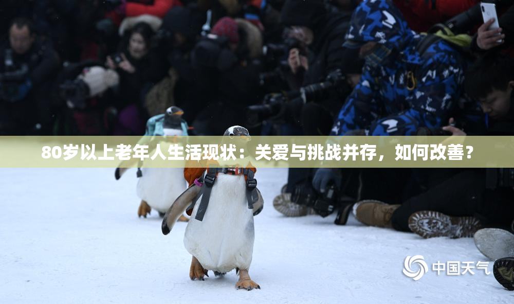 80岁以上老年人生活现状：关爱与挑战并存，如何改善？