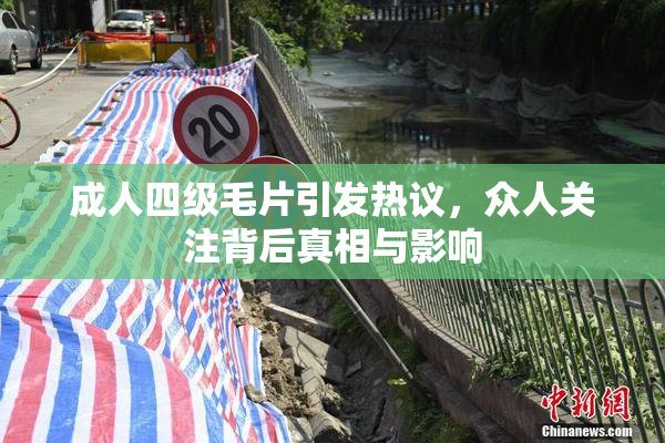 成人四级毛片引发热议，众人关注背后真相与影响