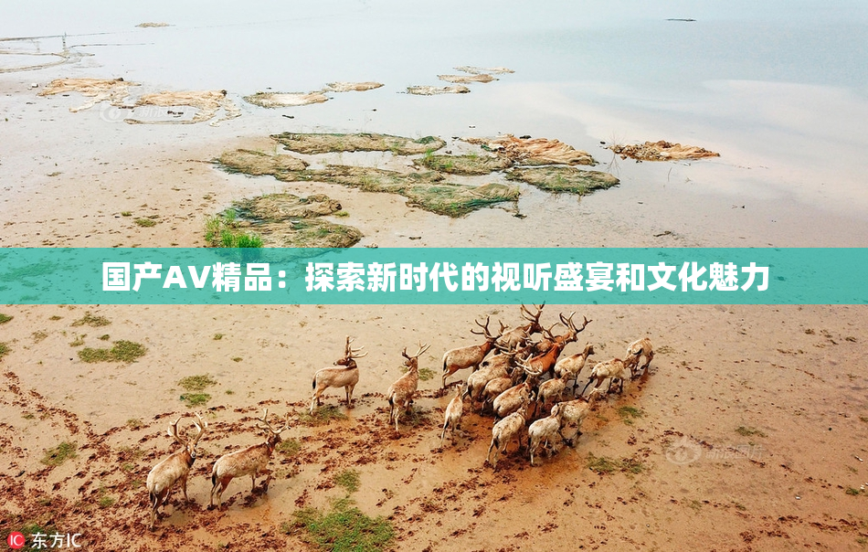 国产AV精品：探索新时代的视听盛宴和文化魅力