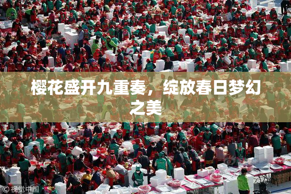 樱花盛开九重奏，绽放春日梦幻之美
