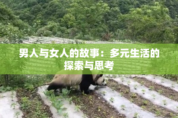 男人与女人的故事：多元生活的探索与思考