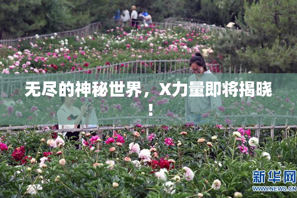 无尽的神秘世界，X力量即将揭晓！