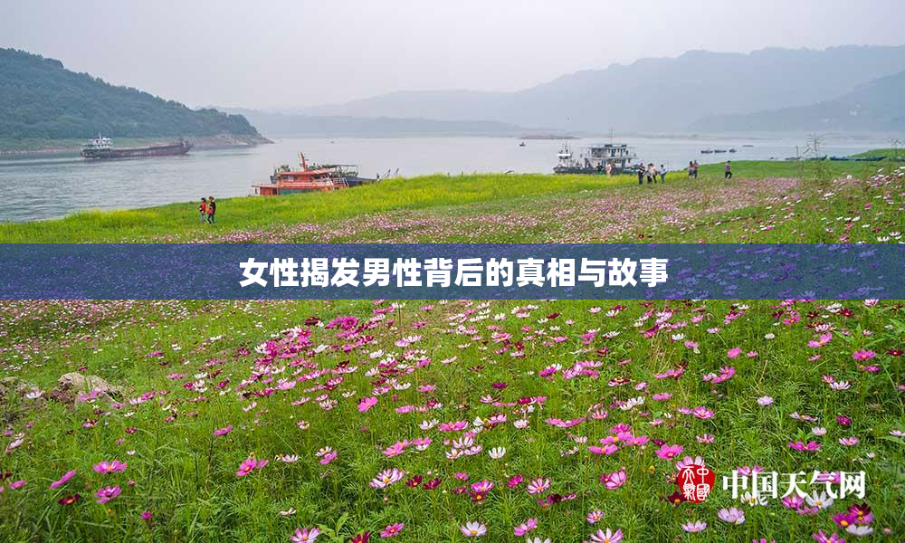 女性揭发男性背后的真相与故事