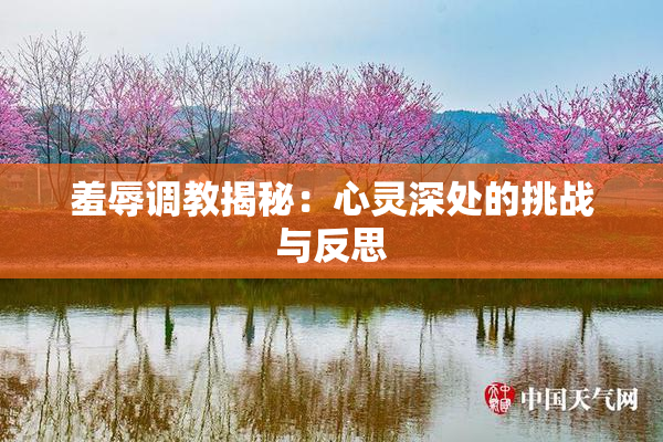 羞辱调教揭秘：心灵深处的挑战与反思