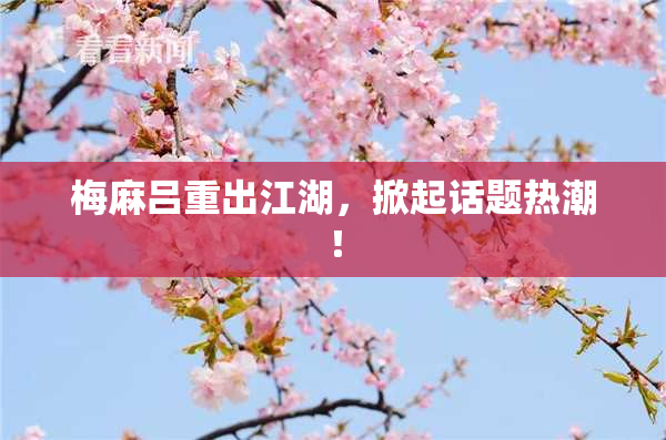 梅麻吕重出江湖，掀起话题热潮！