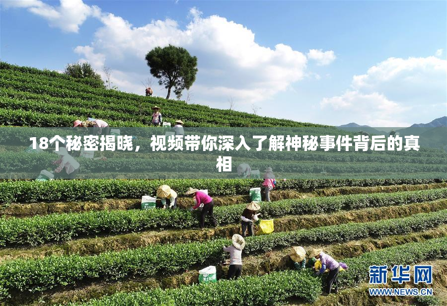 18个秘密揭晓，视频带你深入了解神秘事件背后的真相