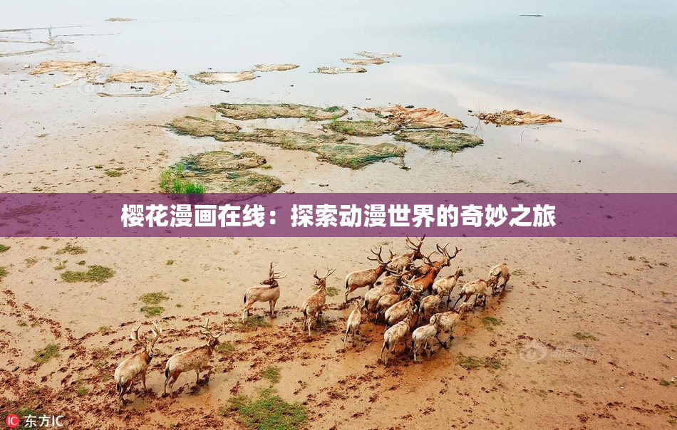 樱花漫画在线：探索动漫世界的奇妙之旅
