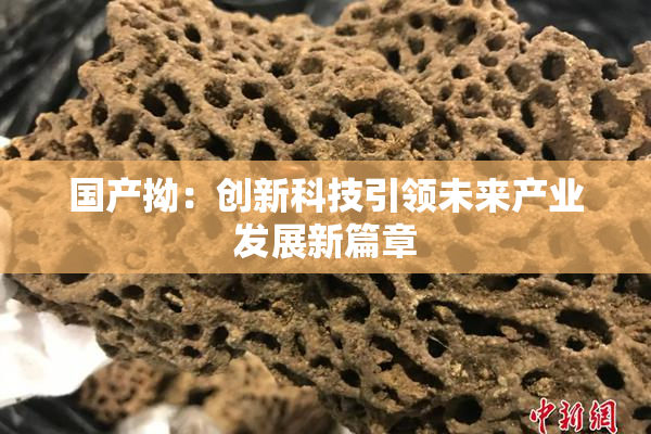 国产拗：创新科技引领未来产业发展新篇章