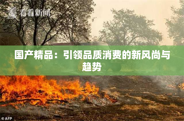 国产精品：引领品质消费的新风尚与趋势