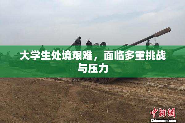 大学生处境艰难，面临多重挑战与压力