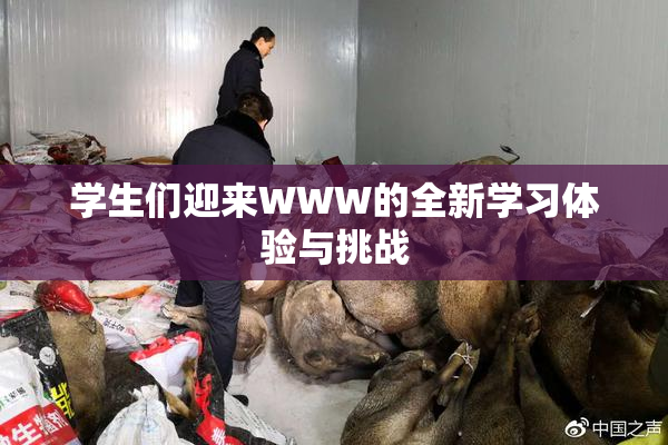 学生们迎来WWW的全新学习体验与挑战
