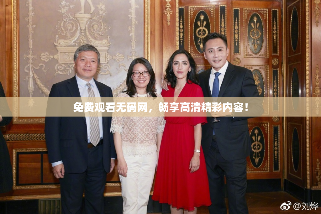 免费观看无码网，畅享高清精彩内容！