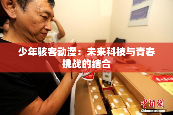 少年骇客动漫：未来科技与青春挑战的结合