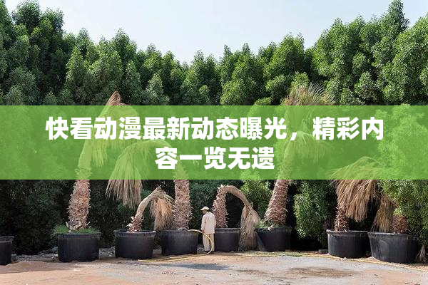 快看动漫最新动态曝光，精彩内容一览无遗