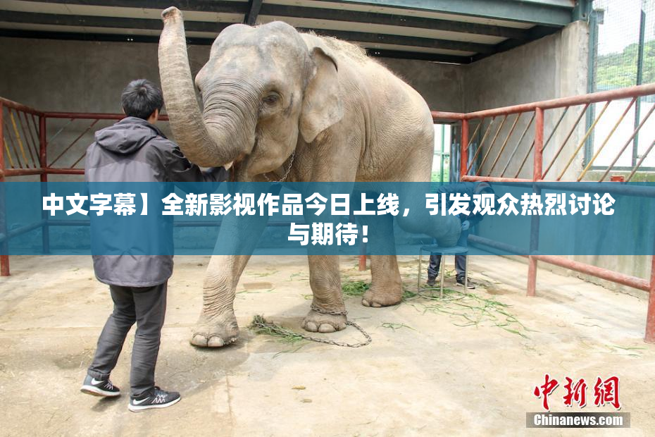 中文字幕】全新影视作品今日上线，引发观众热烈讨论与期待！