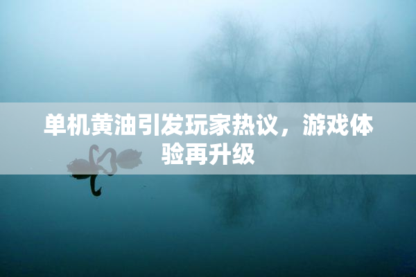 单机黄油引发玩家热议，游戏体验再升级