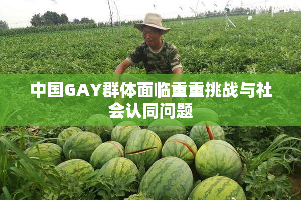 中国GAY群体面临重重挑战与社会认同问题