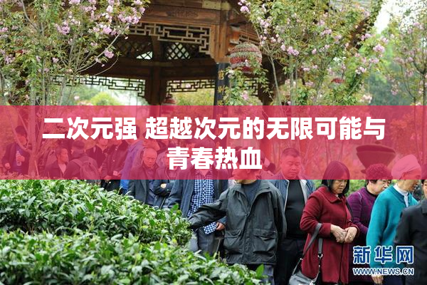 二次元强 超越次元的无限可能与青春热血