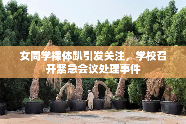 女同学裸体趴引发关注，学校召开紧急会议处理事件