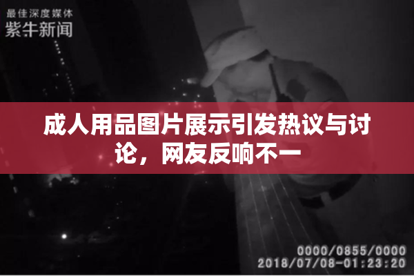成人用品图片展示引发热议与讨论，网友反响不一