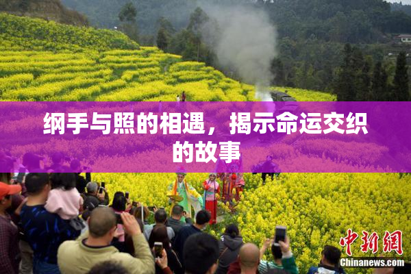 纲手与照的相遇，揭示命运交织的故事