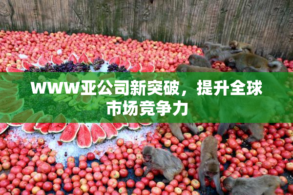 WWW亚公司新突破，提升全球市场竞争力