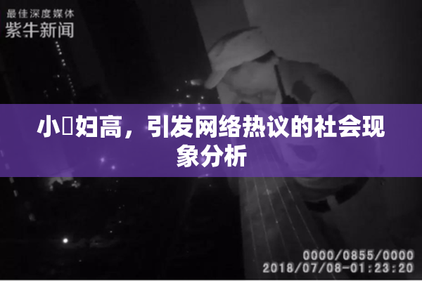 小婬妇高，引发网络热议的社会现象分析