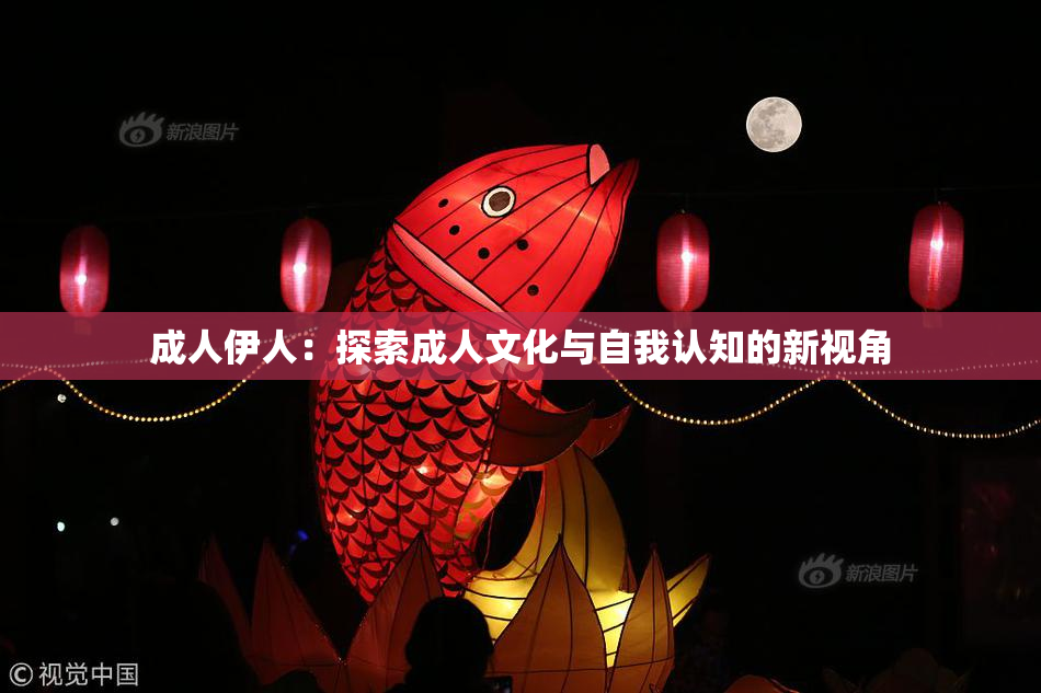 成人伊人：探索成人文化与自我认知的新视角