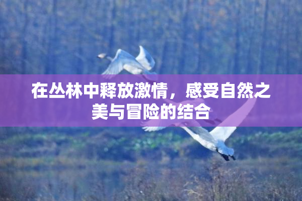 在丛林中释放激情，感受自然之美与冒险的结合