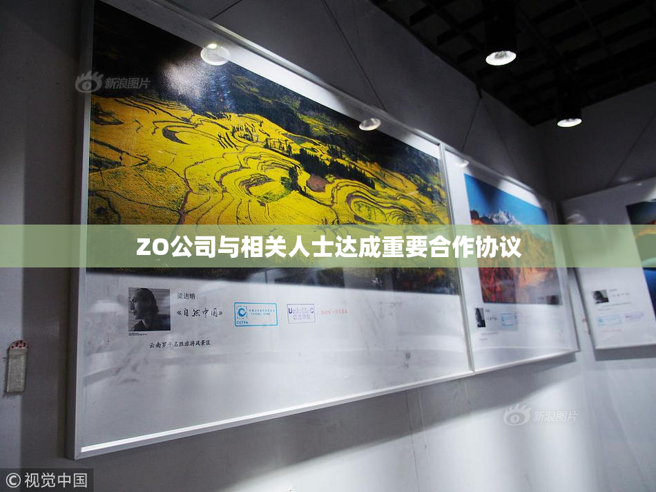 ZO公司与相关人士达成重要合作协议