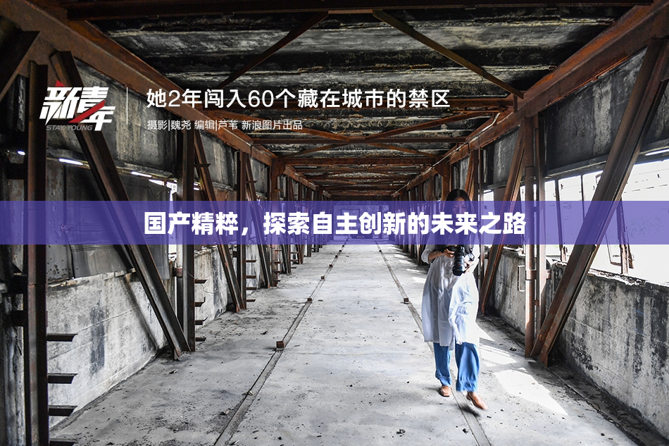 国产精粹，探索自主创新的未来之路