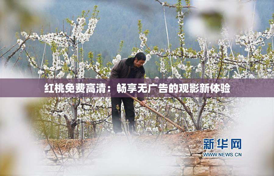 红桃免费高清：畅享无广告的观影新体验