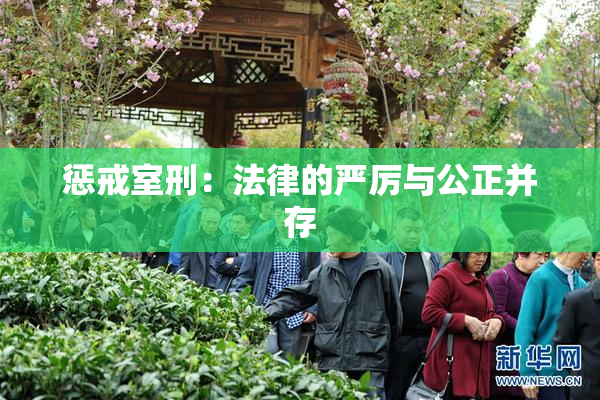 惩戒室刑：法律的严厉与公正并存