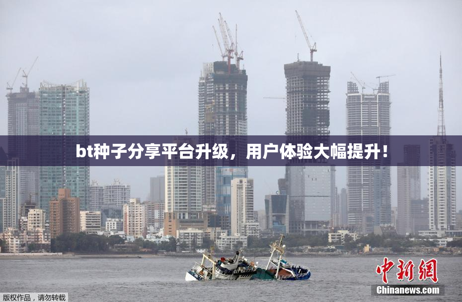 bt种子分享平台升级，用户体验大幅提升！