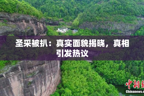 圣采被扒：真实面貌揭晓，真相引发热议