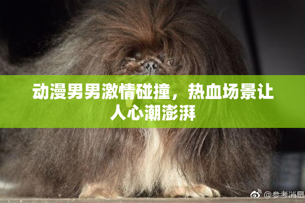 动漫男男激情碰撞，热血场景让人心潮澎湃