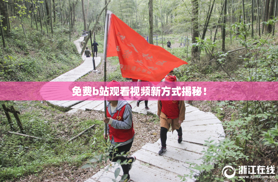 免费b站观看视频新方式揭秘！