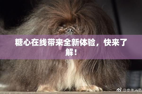 糖心在线带来全新体验，快来了解！