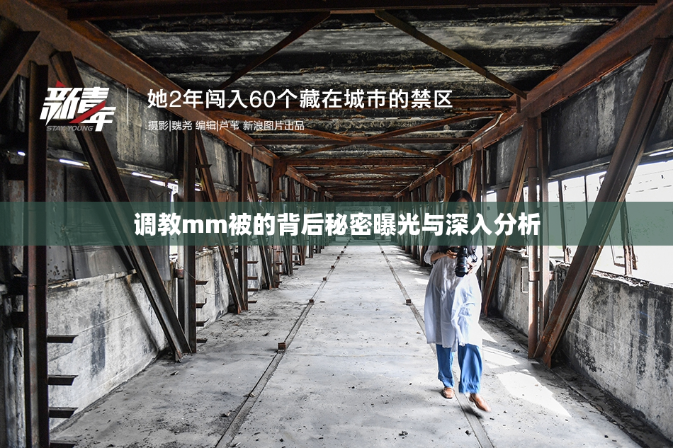 调教mm被的背后秘密曝光与深入分析