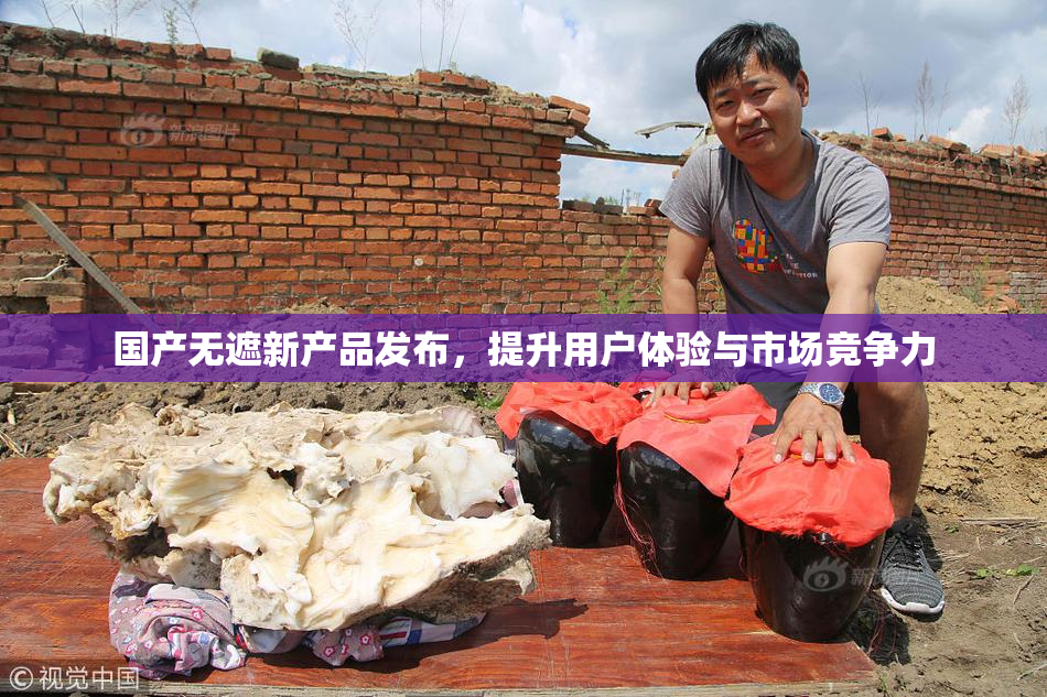 国产无遮新产品发布，提升用户体验与市场竞争力