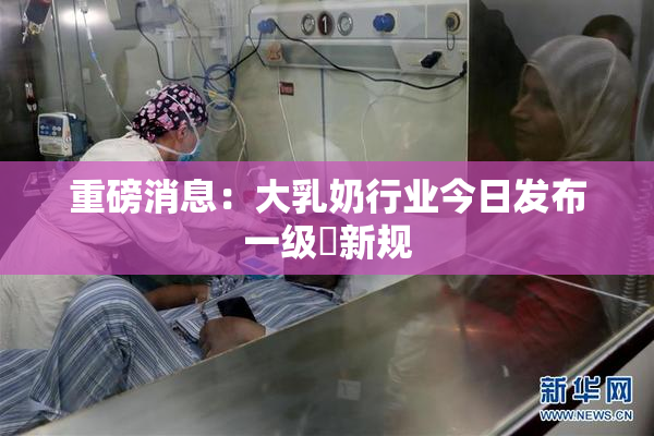 重磅消息：大乳奶行业今日发布一级婬新规