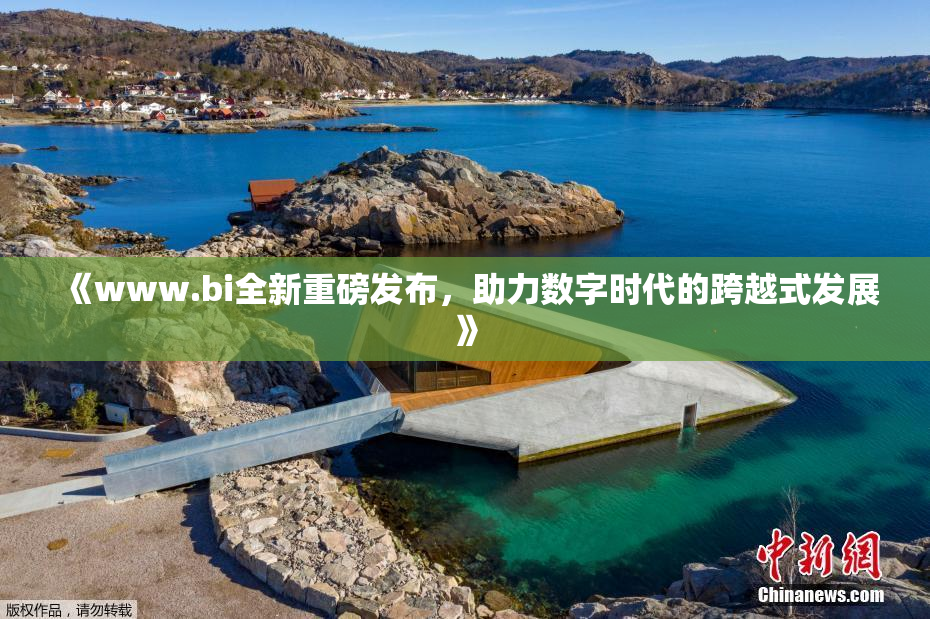 《www.bi全新重磅发布，助力数字时代的跨越式发展》