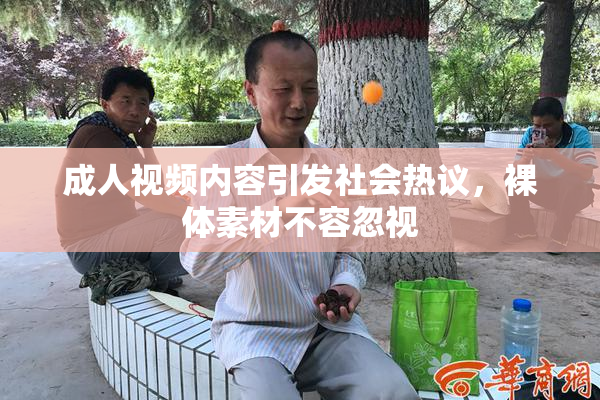 成人视频内容引发社会热议，裸体素材不容忽视