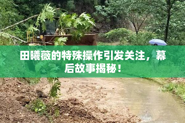 田曦薇的特殊操作引发关注，幕后故事揭秘！