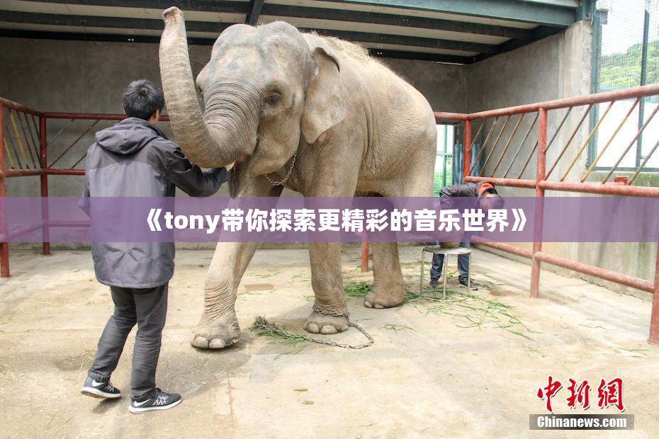 《tony带你探索更精彩的音乐世界》