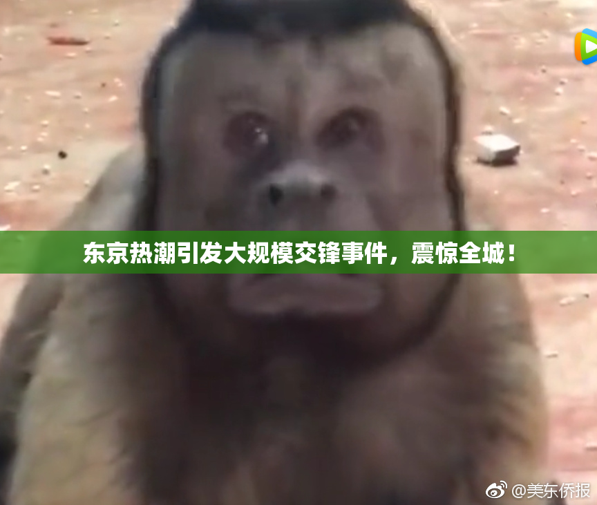 东京热潮引发大规模交锋事件，震惊全城！