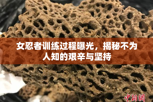 女忍者训练过程曝光，揭秘不为人知的艰辛与坚持