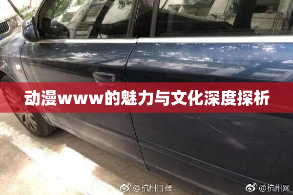 动漫www的魅力与文化深度探析