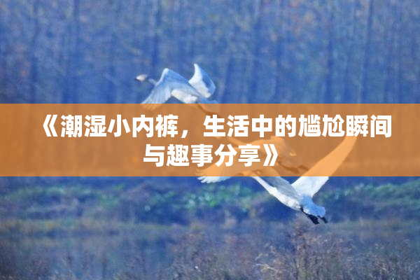 《潮湿小内裤，生活中的尴尬瞬间与趣事分享》