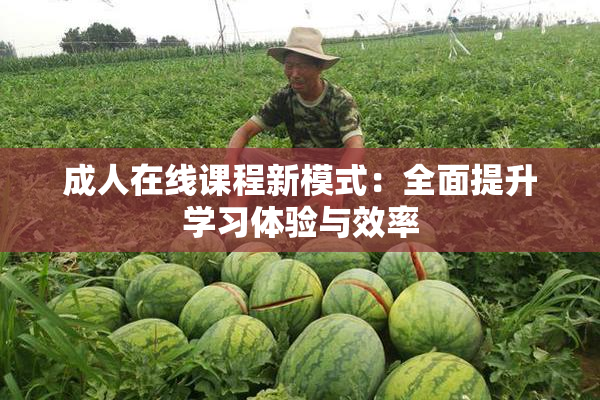 成人在线课程新模式：全面提升学习体验与效率